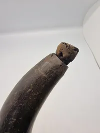 Originalt krudthorn af ben