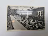 Samling originale olympiade postkort fra 1936
