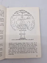 Originalt dansk spejderlot + lommebog fra 1943