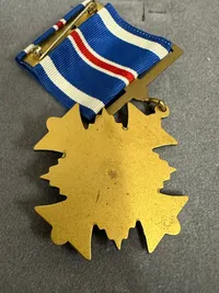 Original Amerikansk medalje 🥉