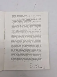 Mein Kampf - Sandheden om hagekorset