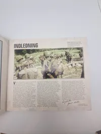 Den store bog om Vietnamkrigen