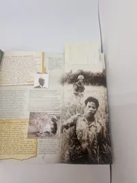 Den store bog om Vietnamkrigen