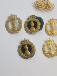 Samling regimentsmærker & et Regina