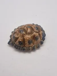 Original engelsk Wade skildpadde