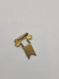 Original “Danmarks” pin