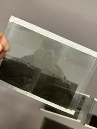 Original glasnegativer