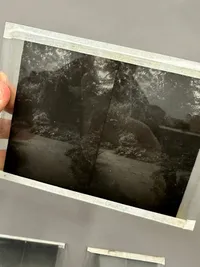 Original glasnegativer