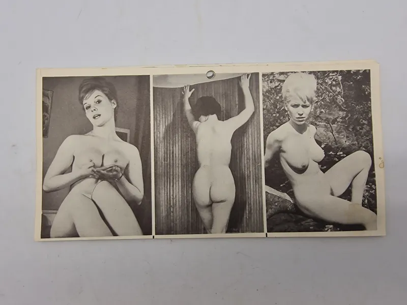 Samling ældre pornografiske fotos (serie)
