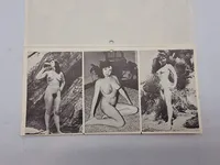 Samling ældre pornografiske fotos (serie)