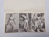 Samling ældre pornografiske fotos (serie)