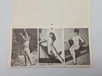 Samling ældre pornografiske fotos (serie)