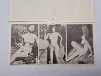 Samling ældre pornografiske fotos (serie)