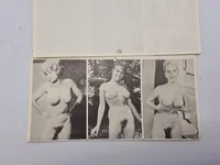 Samling ældre pornografiske fotos (serie)