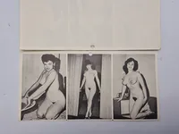 Samling ældre pornografiske fotos (serie)
