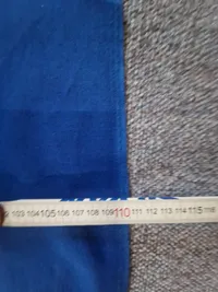 Estlands flag