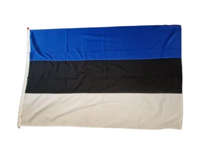 Estlands flag