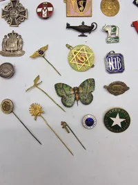 Samling diverse pins