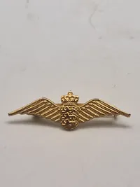 Original nål fra det danske flyvevåben kvinder