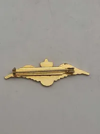 Original nål fra det danske flyvevåben kvinder
