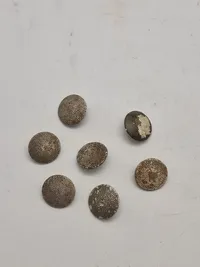 Originale tyske ww2 knapper