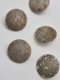 Originale tyske ww2 knapper