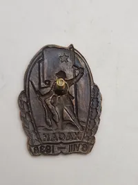 Samling russiske badges