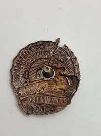 Samling russiske badges