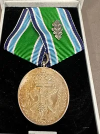 HJV medalje af Sterling sølv