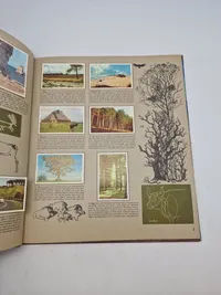Originale billedserier fra Richs - ca tiden omkring ww2