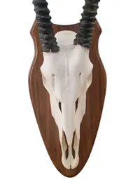 Opsats (Antilope)