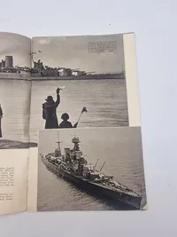 NEPTUN D.N.A.S.P propaganda