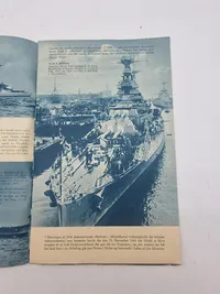 NEPTUN D.N.A.S.P propaganda
