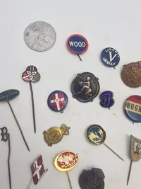 Samling diverse pins