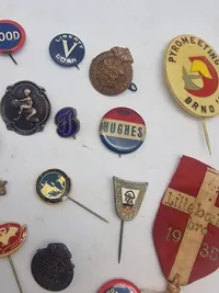 Samling diverse pins