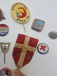 Samling diverse pins
