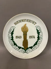 HJV 25 år platte