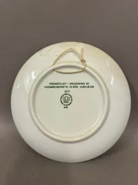 HJV 25 år platte
