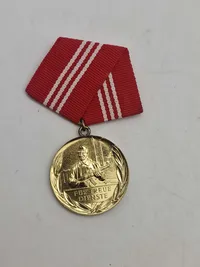 Samling Medaille für treue Dienste in der Nationalen Volksarmee" (Medalje for tro tjeneste i Nationale Volksarmee) fra Østtyskland (DDR).