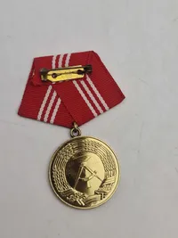 Samling Medaille für treue Dienste in der Nationalen Volksarmee" (Medalje for tro tjeneste i Nationale Volksarmee) fra Østtyskland (DDR).