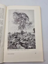 Danske soldater i kamp på Østfronten 1941 - 1945