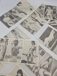 Samling erotica