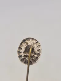 Original Verwundetenabzeichen in Silber (Nål)