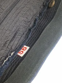 Dansk Skråhue kvindelige flyvere