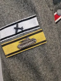 Frikorps Danmark uniform, efter 45