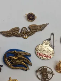 Pins og div.