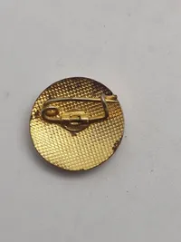 Original pin fra det Danske nazist parti i 1990 erne
