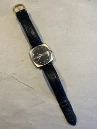 Seiko ur