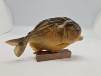 Udstoppet piratfisk