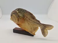Udstoppet piratfisk